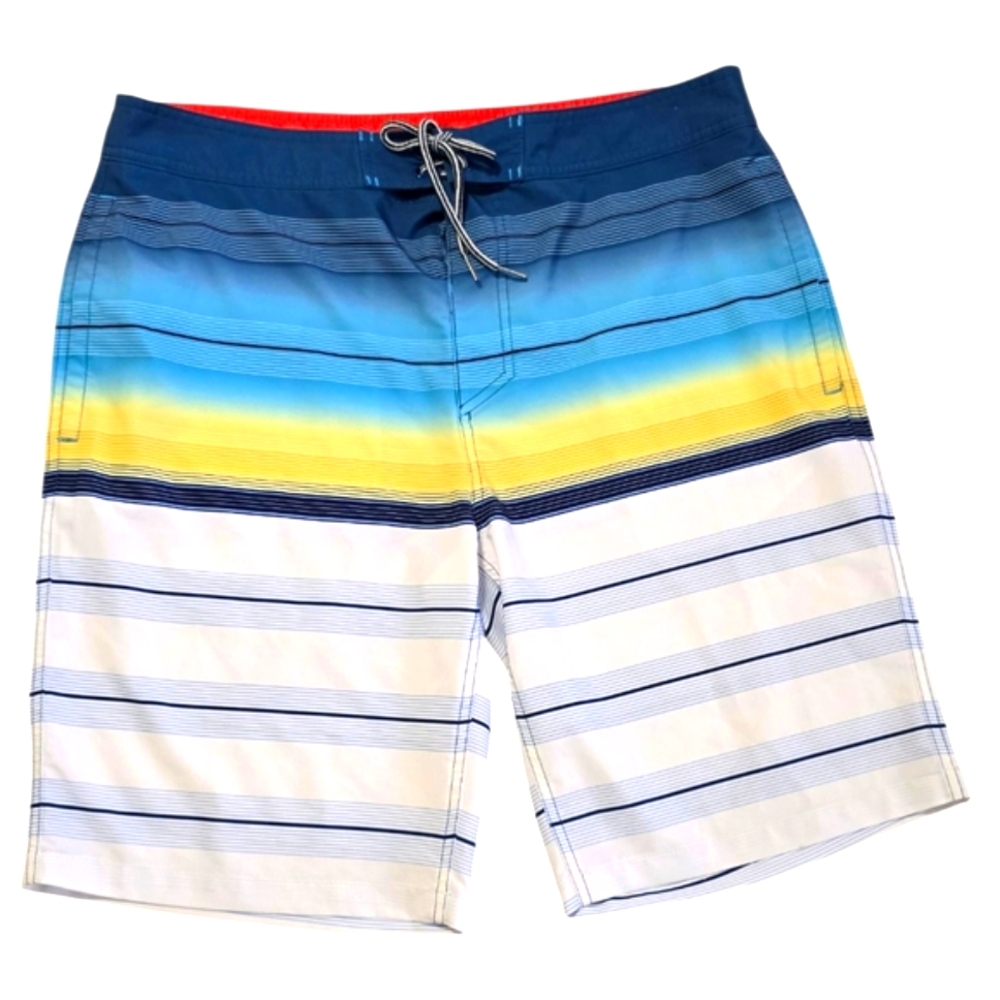Goodfellow & Co. Men's Multicolor Striped Swim Shorts